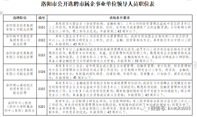 洛阳城市发展中的人才力量，最新人事动态揭秘