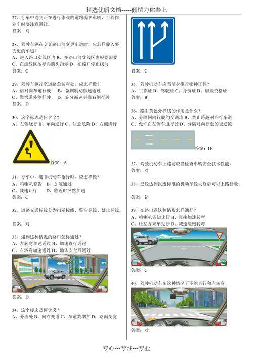 最新驾考科目详解及应对策略指南