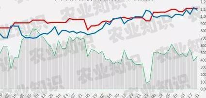 稻谷最新价格走势解析