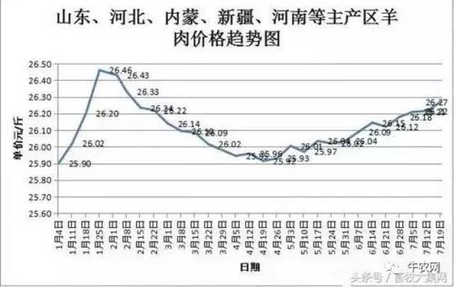 羊肉的最新价格