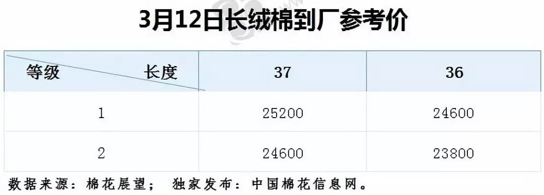 棉花行情最新行情