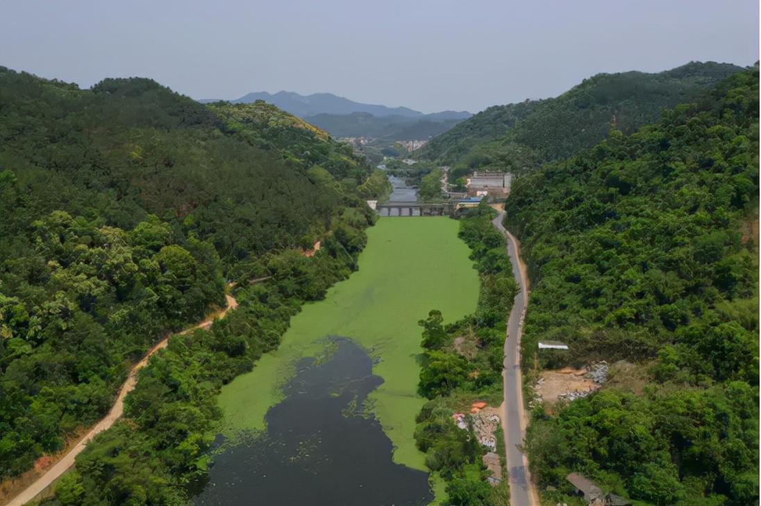 岑溪最新航拍