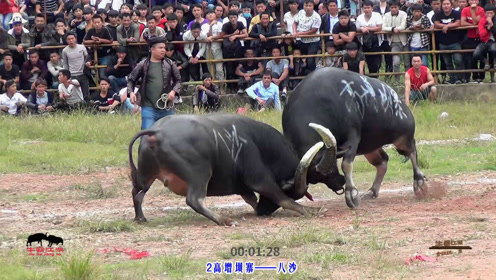 新时代引领潮流，牛霸江湖重塑传统力量