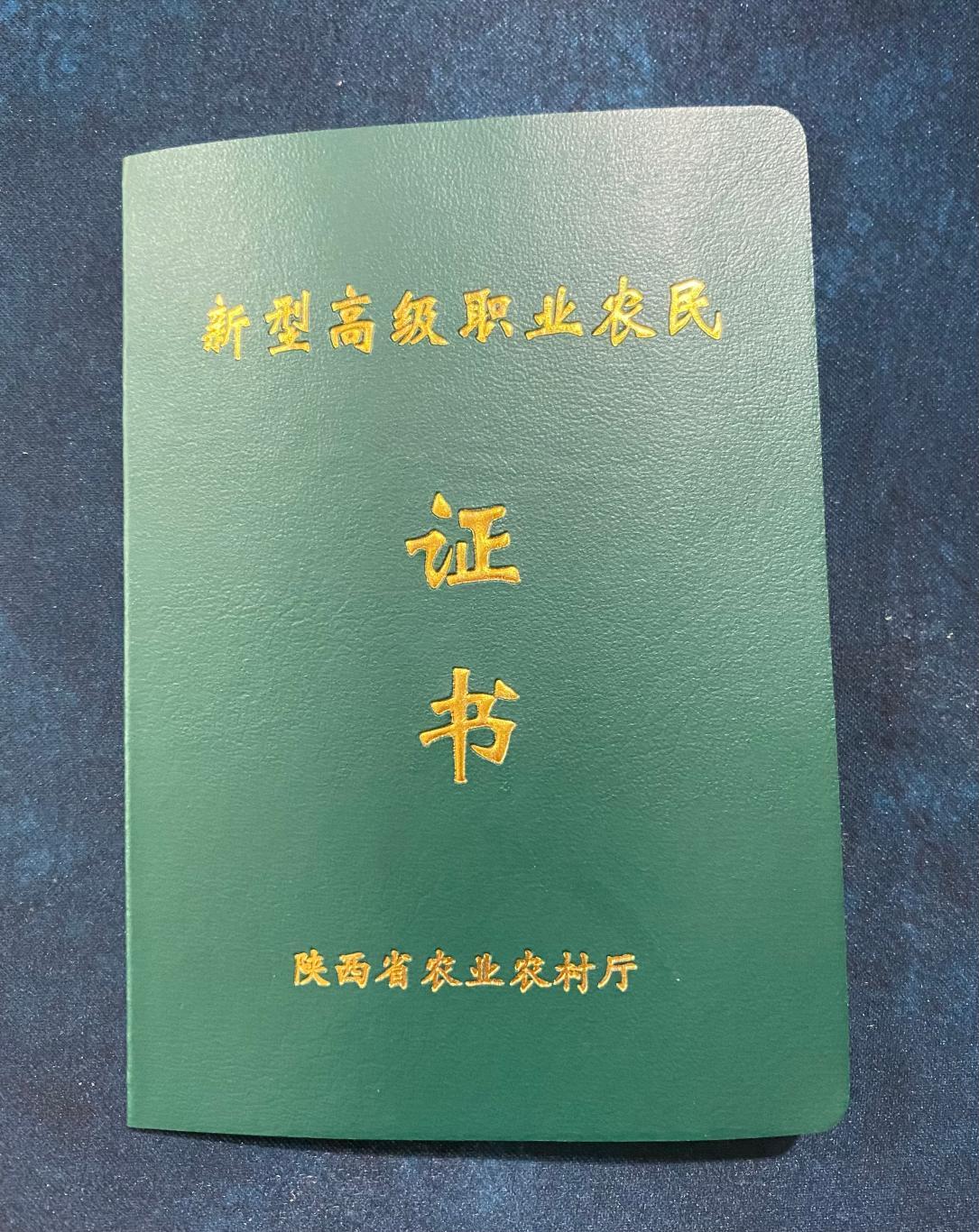 最新職業(yè)證書，引領(lǐng)未來職業(yè)發(fā)展的核心驅(qū)動力