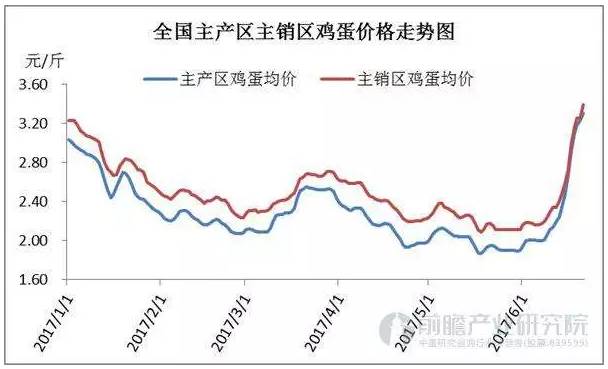 最新鸡蛋价格趋势分析、预测与展望