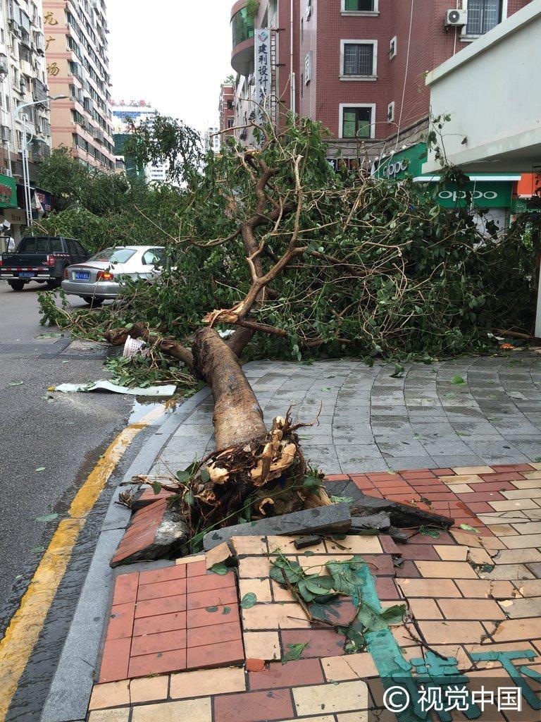 廈門最新城市圖片，探索美麗的海濱都市風(fēng)光