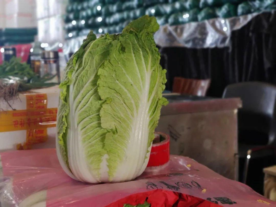 今日豆角价格动态，市场走势与种植前景深度解析