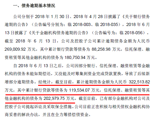 海润公司最新公告深度解读