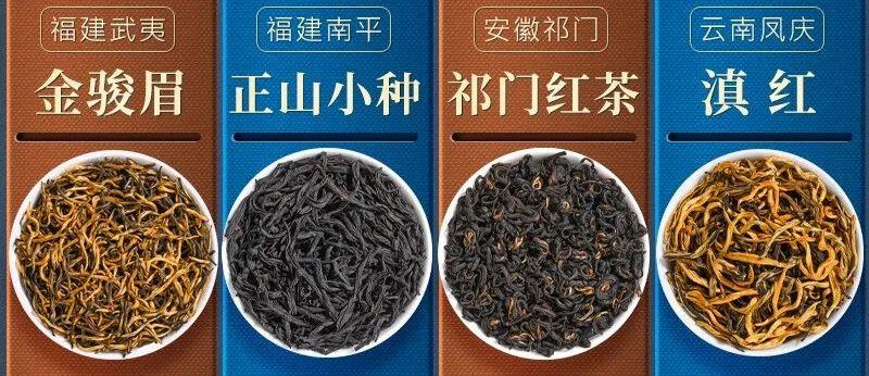 鳳慶于最新，新時代的新機遇與挑戰(zhàn)探索