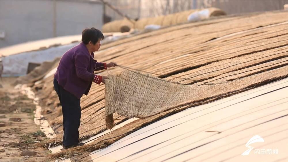 茌平邁向新征程，城市煥新顏，發(fā)展動(dòng)態(tài)矚目