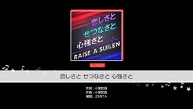 初見新曲的魅力與感受分享