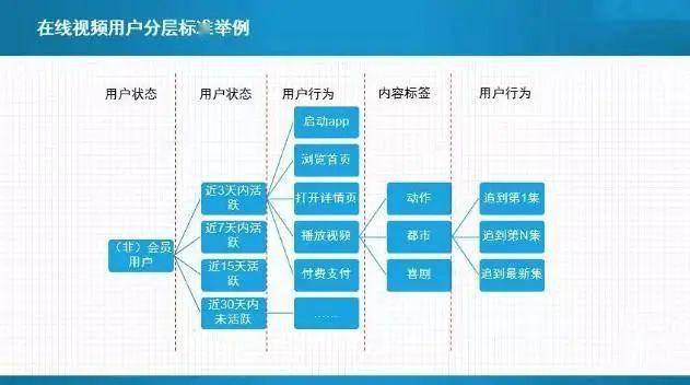 會員最新動態(tài)概覽，共創(chuàng)卓越未來，洞悉會員動態(tài)發(fā)展