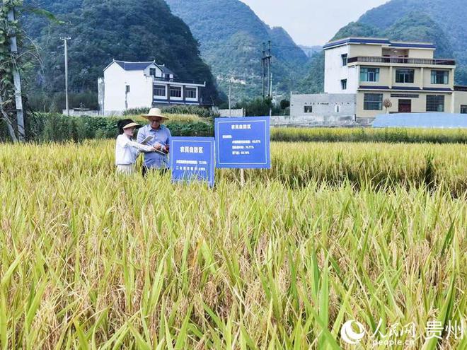 貴州最新疾病研究綜述