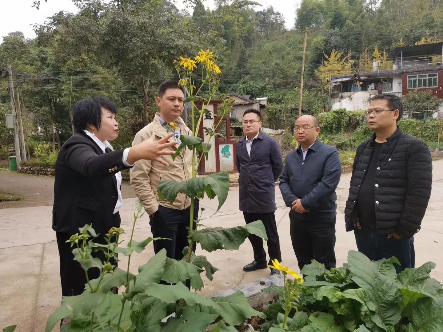 茍偉最新動態(tài)，探索成長軌跡與深遠影響