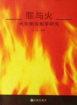 燃燒科學(xué)前沿探索，最新火的研究進(jìn)展與未來(lái)展望