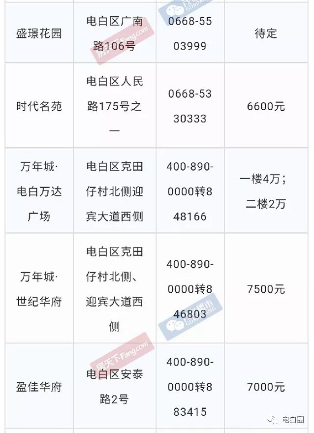 电白最新房价走势与市场趋势深度解析