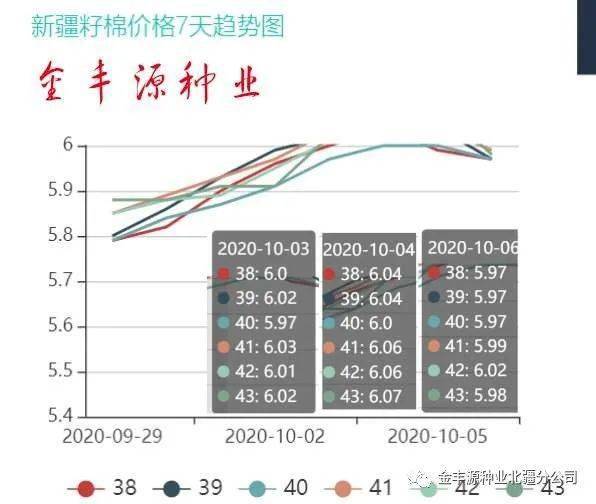 最新籽棉价格动态与产业链影响分析