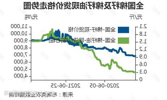 棉油最新价格动态解析