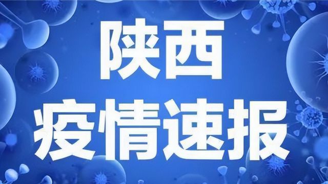 最新疫情动态全面解析报告