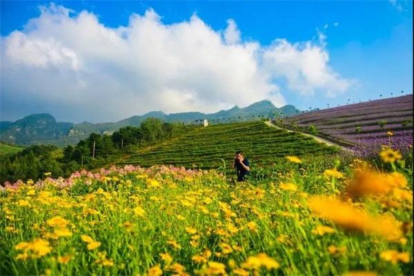 南天最新科技视频，探索前沿魅力，领略无限精彩