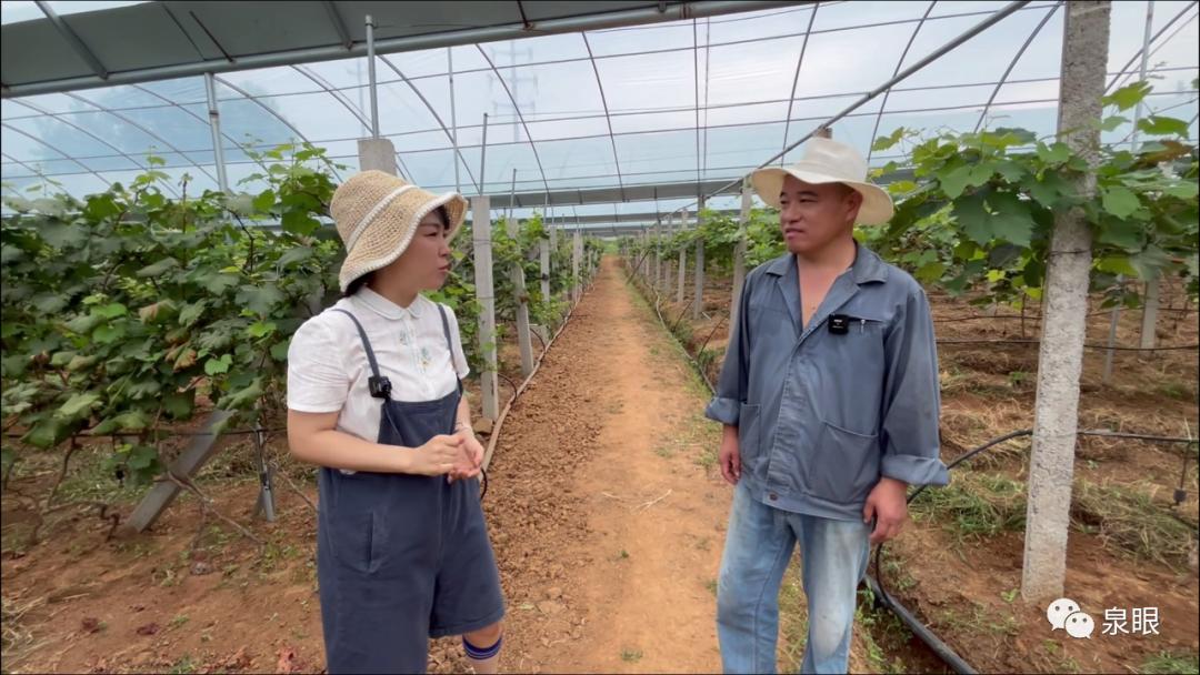 甜蜜新宠的奇幻之旅，爱的魅力绽放