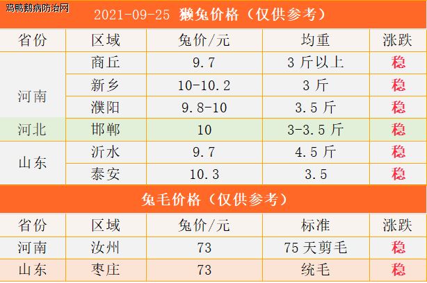 最新兔价格动态及其对养殖业的深远影响