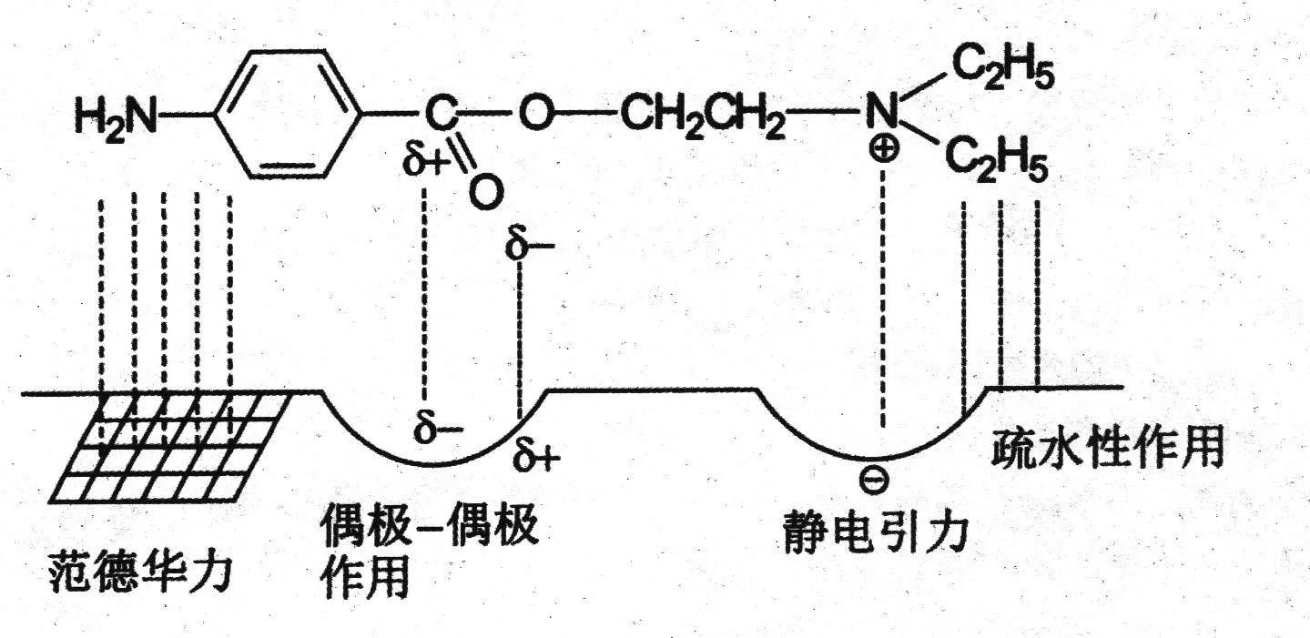 傅作用最新研究进展及其影响综述