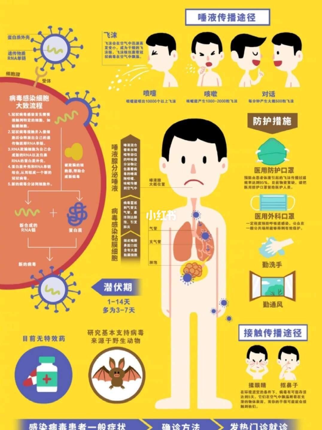 肺炎传播最新动态与影响分析