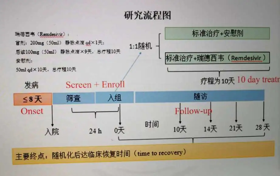 全球挑战与应对策略，最新肺炎时态下的分析