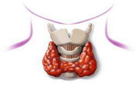 甲状腺最新研究现状与进展探讨