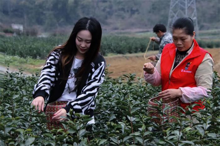 幸有志最新动态，引领前沿科技，探索未来创新之路