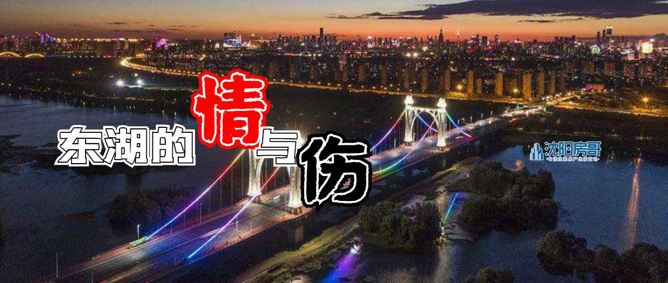 沈阳东湖最新动态，城市绿心的崭新面貌揭秘