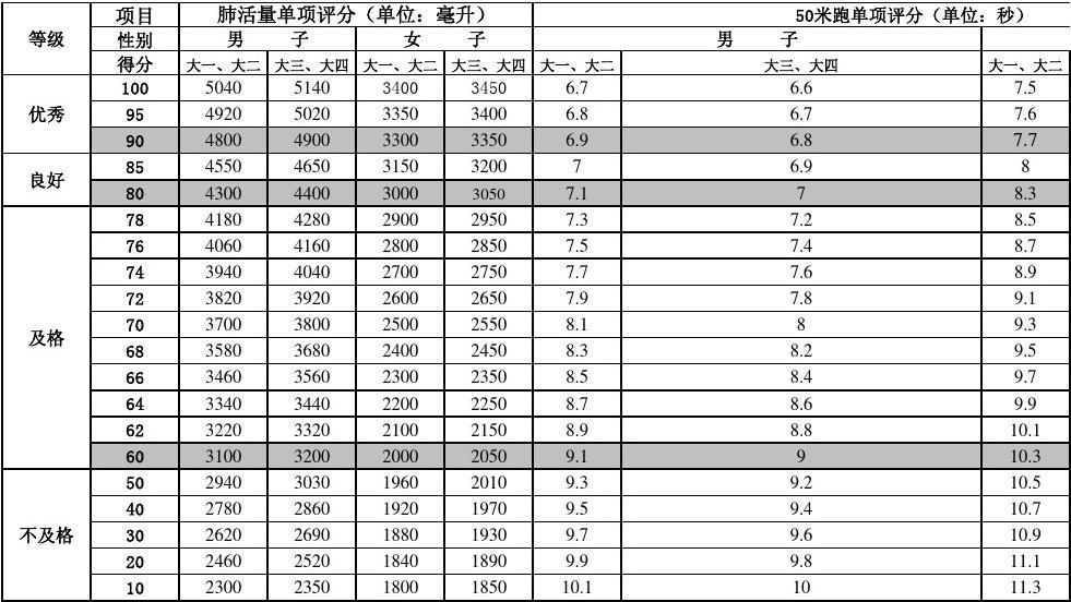 最新体测表及其应用，塑造健康生活之道